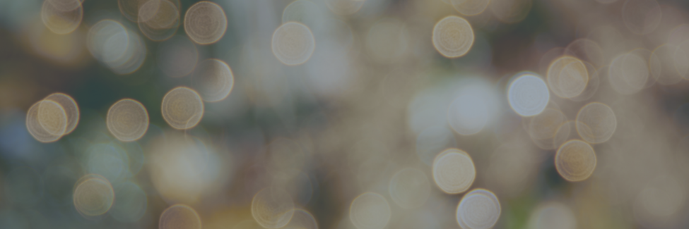 Holiday Header
