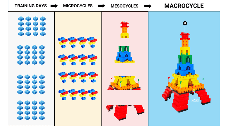 Annual Plan Hawkin Dynamics