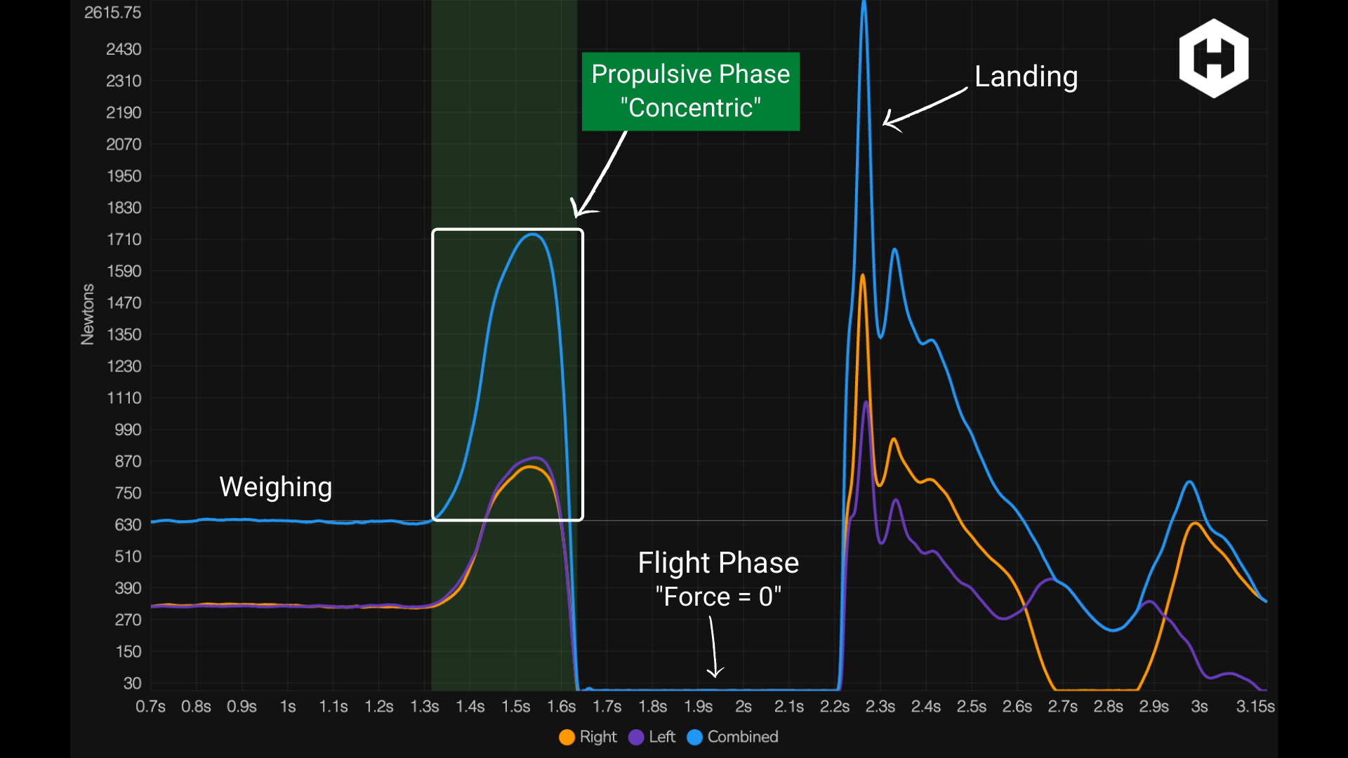 Squat Jump Phases