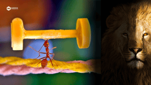 Ants and Lions