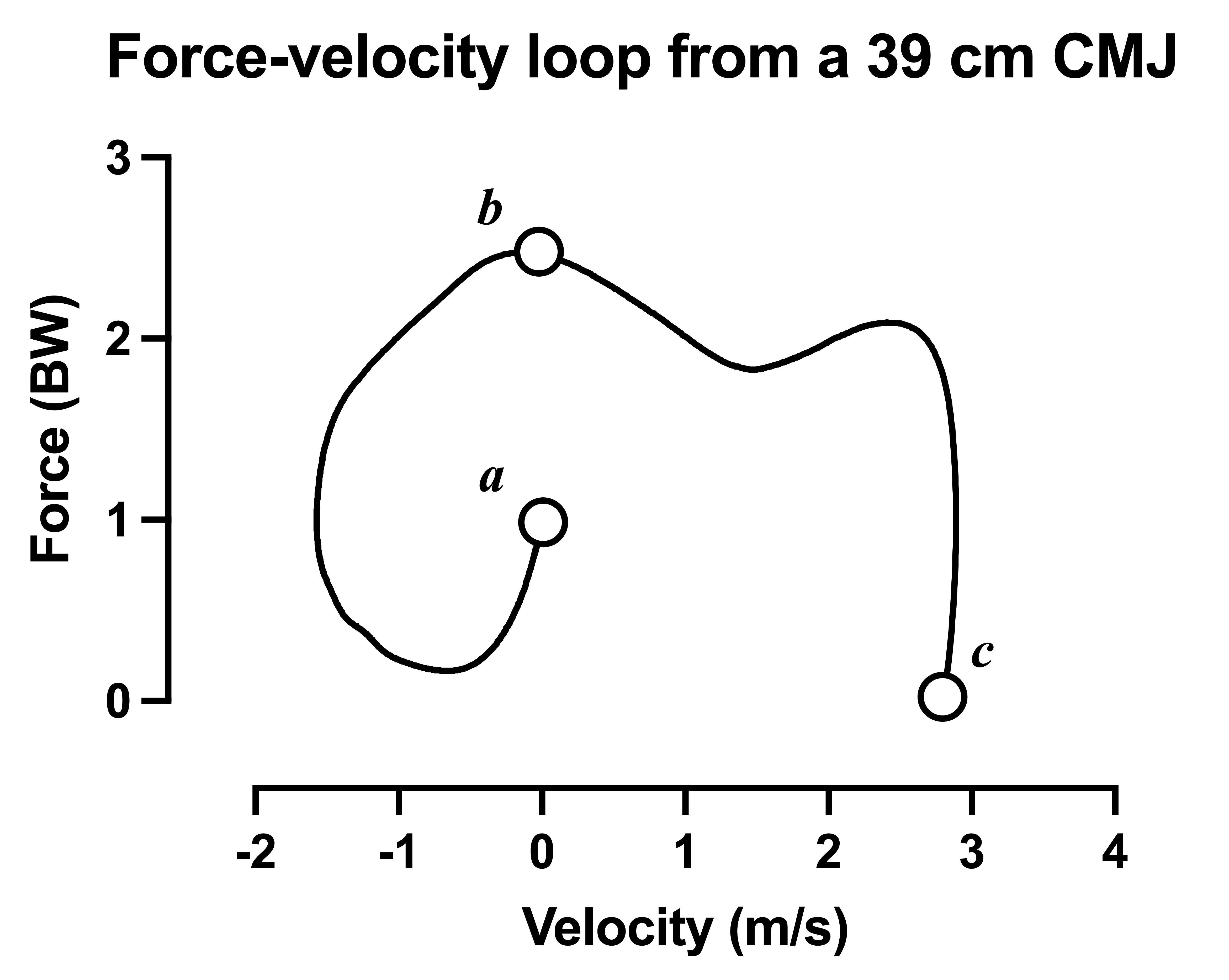 normalized force-velocity loop