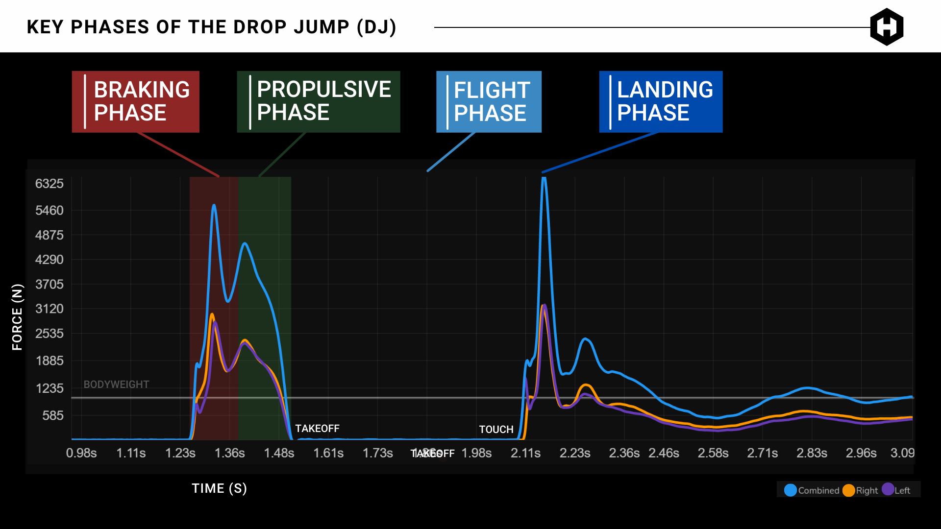 Drop Jump Phases