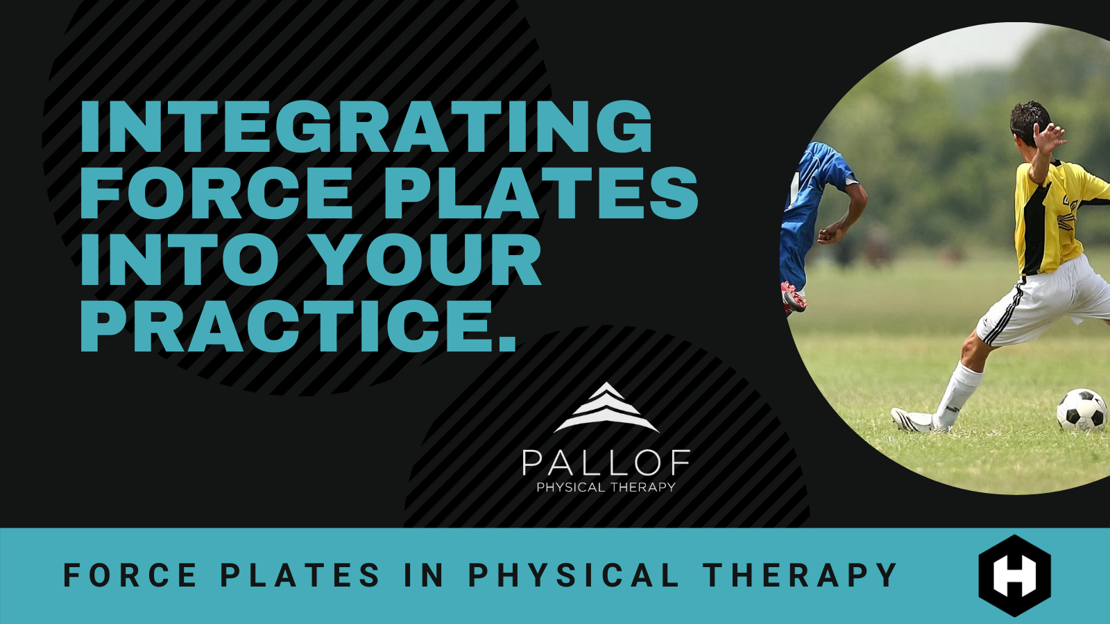 Palloff_Course